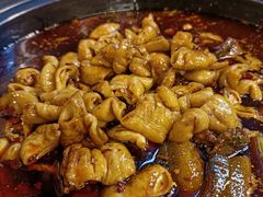 -金海椒罐罐鲢鱼(东方桂苑店)