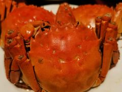 螃蟹-君来湖滨饭店·玫瑰园