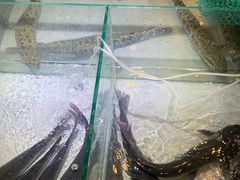 -同釜聚炝锅鱼火锅