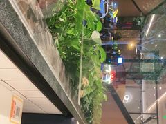 -新旺茶餐厅·早餐·夜宵(仙霞店)