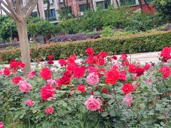 -义乌之心城市生活广场