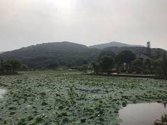 -龙寺生态园