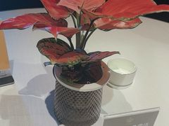 -鱼翅楼·津派砂锅鱼翅(水上公园店)