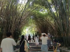 -成都动物园