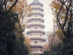 -灵谷景区