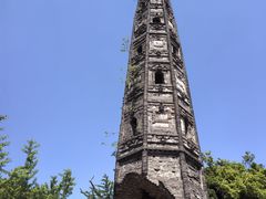 -上海佘山国家森林公园天马山园