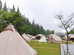 -前小桔亲子创意农场·草莓采摘·露营烧烤