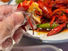 -杨氏青龙虾·羊蝎子(托乐嘉店)