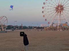 -碧海金沙