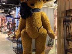 -济州岛泰迪熊博物馆