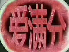 -长兴岛郊野公园农场食堂