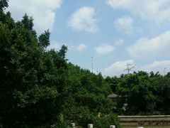 -小洲村