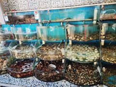 -仙螺岛海鲜自助餐厅(总店)