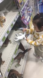 -玩具反斗城(万象汇店)