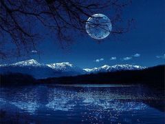 -章氏(车站北路店)