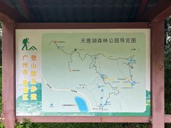 -天鹿湖森林公园