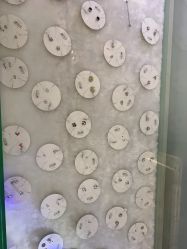 -AI艾耳·专业手工耳洞·穿孔美学馆