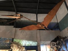 -湖南省地质博物馆