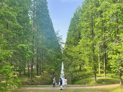 -黄海国家森林公园