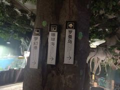 -苏州海洋馆