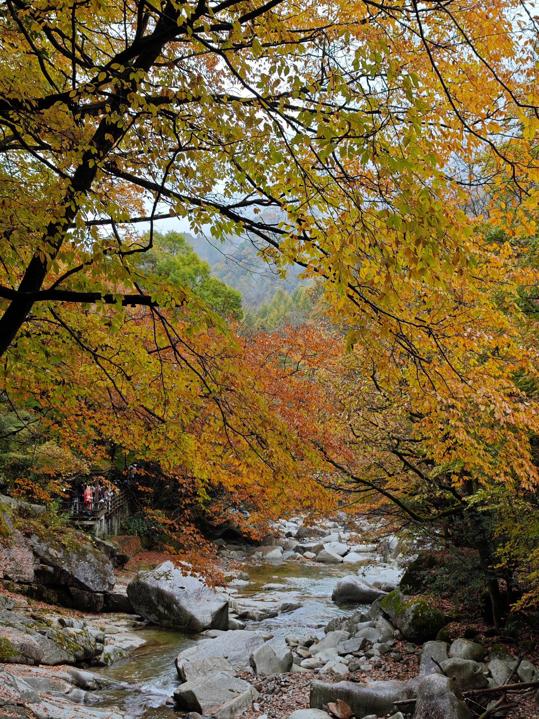 光雾山景区天气预报今日情况 光雾山景区天气预报今日情况