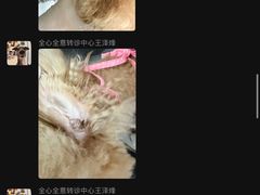 -全心全意动物诊疗中心医院(北苑店)