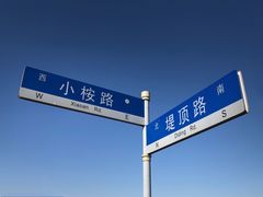 -南汇嘴观海公园
