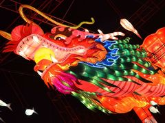 -锦江乐园舞狸花花游园会(夜场专享)