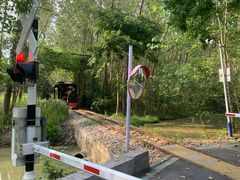 -合肥滨湖国家森林公园