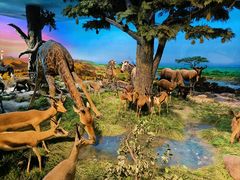 -国家自然博物馆