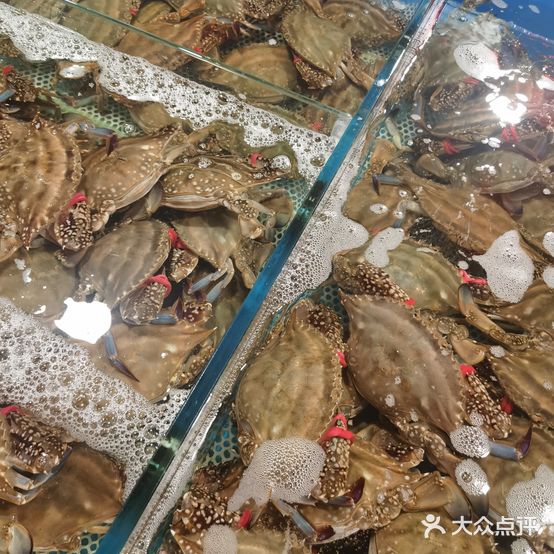 鑫源海鲜大排档(唐山总店)