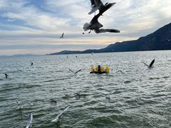 -海埂大坝