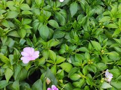 -西安创业咖啡街区