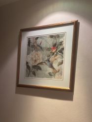 -尊尚柏丽美容SPA