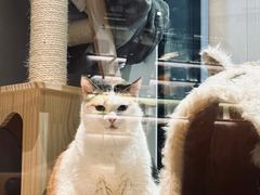 -黑胶星球(华发中城商都店)