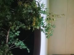 -见康道莱•足浴按摩•艾灸•SPA(友谊店)