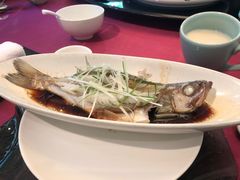 -十八棵（老龙井）御茶园(老龙井店)