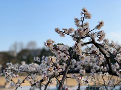-白塘生态植物园
