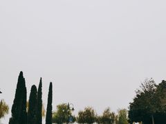 -迪士尼小镇