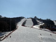 -东北亚滑雪场