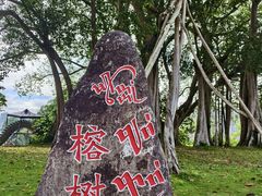 -瑞丽独树成林风景区