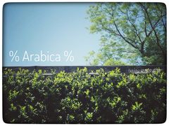 景观位-% Arabica阿拉比卡咖啡(武康路店)