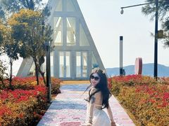 -东澳岛