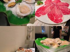 -汤城·料青山
