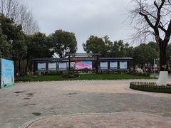 -合肥滨湖国家森林公园