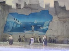 -华夏文旅海洋公园