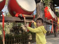 -合肥滨湖国家森林公园