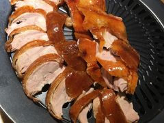 -守柴炉烤鸭(科华中路王府井店)