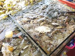 -芦潮港集贸市场