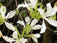 -广东外语外贸大学(白云山校区)